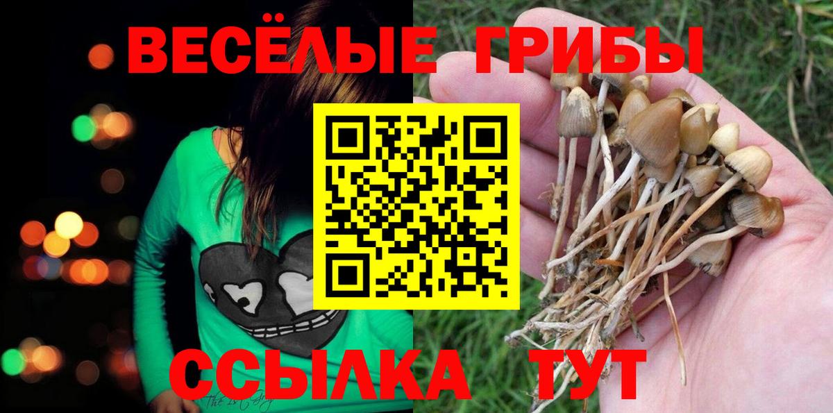 Майский  как найти закладки  Галлюциногенные грибы ЛСД  Вход с VPN  Псилоцибиновые грибы мицелий 
